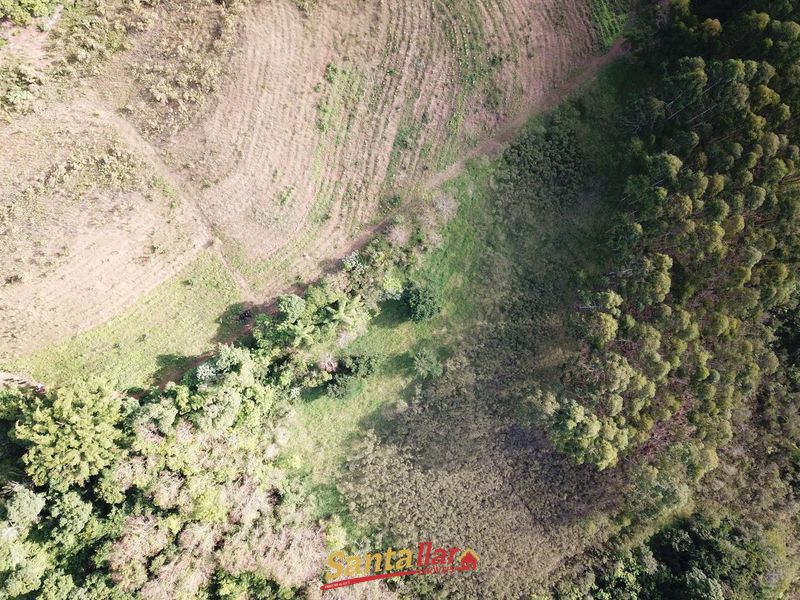 Chácara, 45 hectares - Foto 25