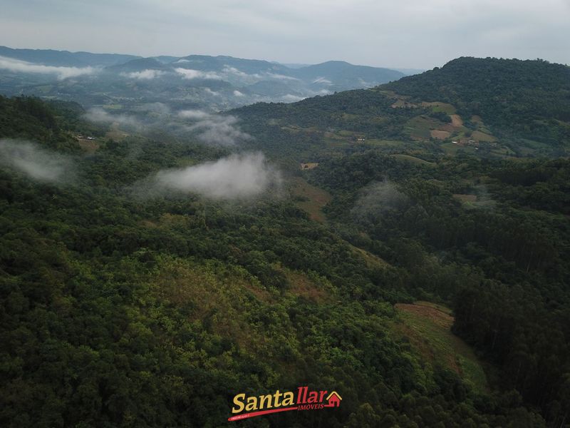 Chácara, 45 hectares - Foto 6