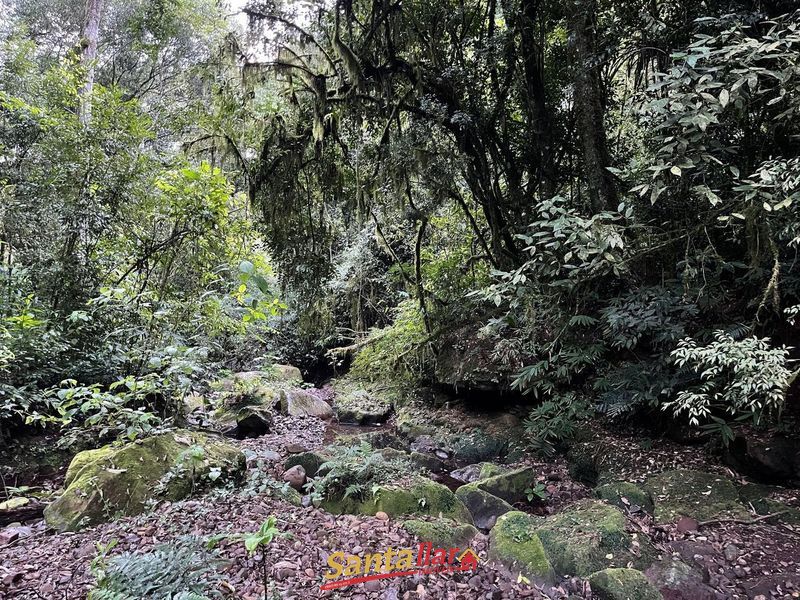 Chácara, 45 hectares - Foto 1