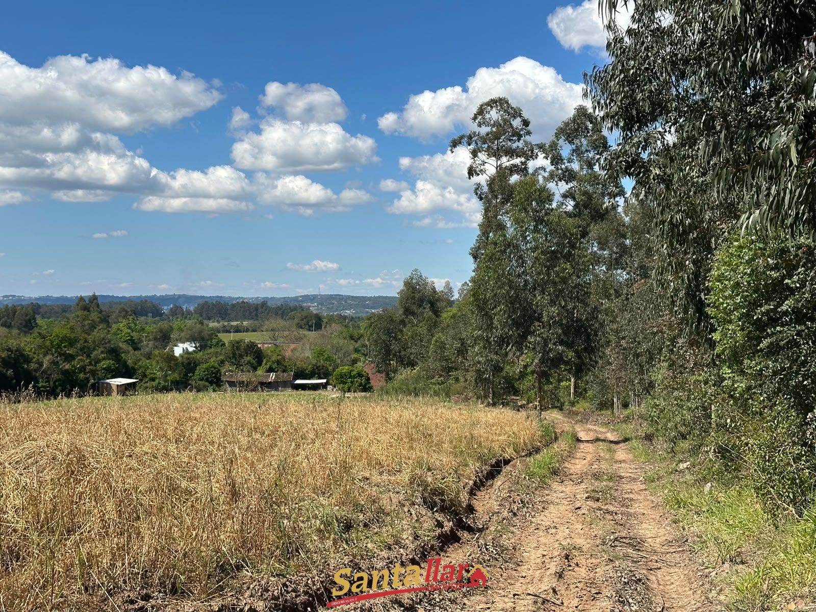Sítio, 10 hectares - Foto 16