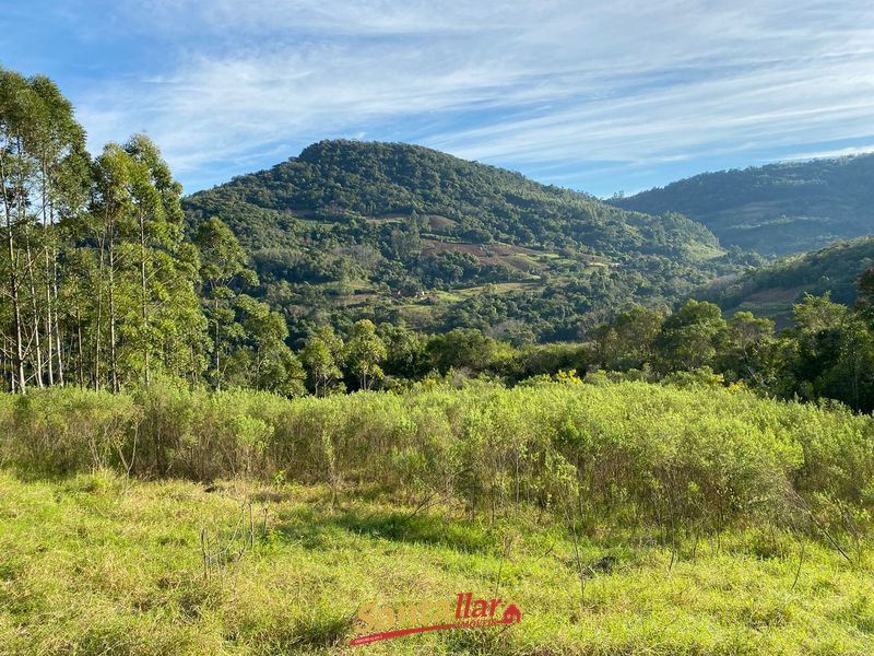Chácara, 45 hectares - Foto 14