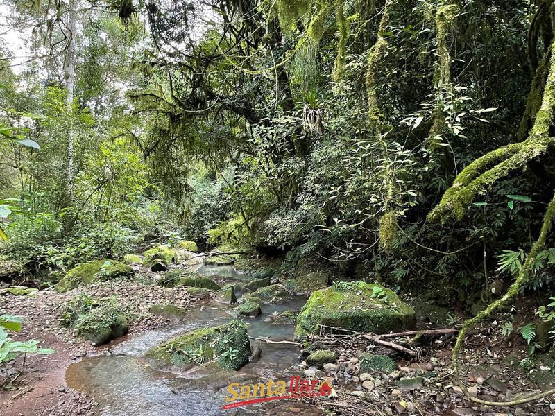 Chácara, 45 hectares - Foto 16