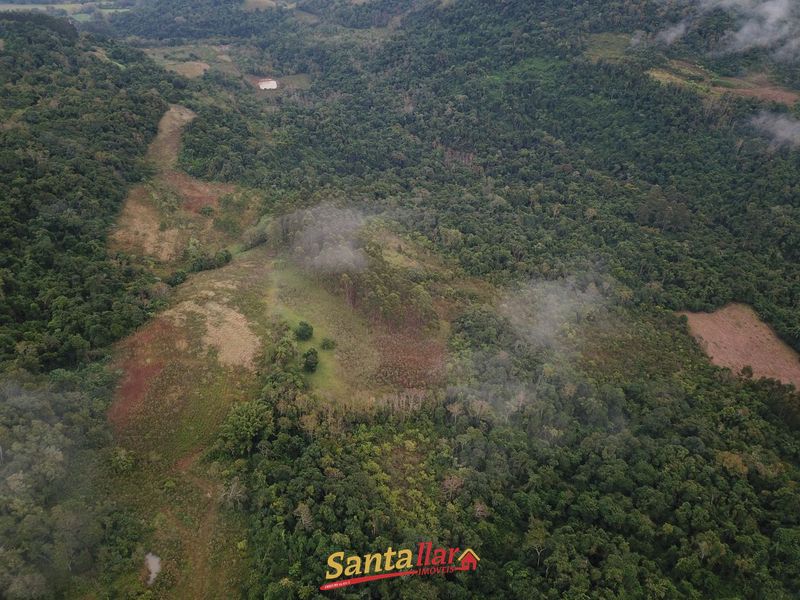 Chácara, 45 hectares - Foto 7