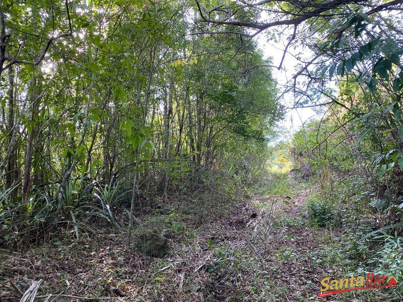 Chácara, 45 hectares - Foto 24