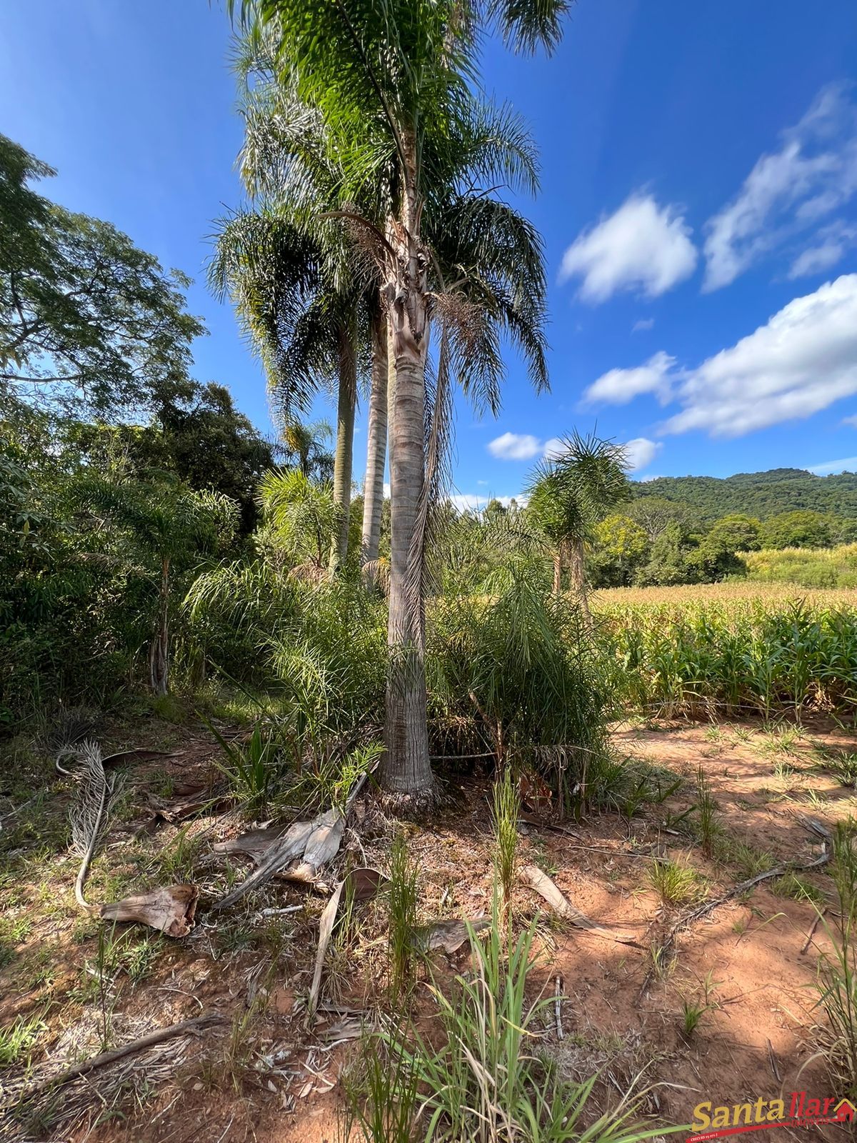 Fazenda à venda, 13000m² - Foto 12