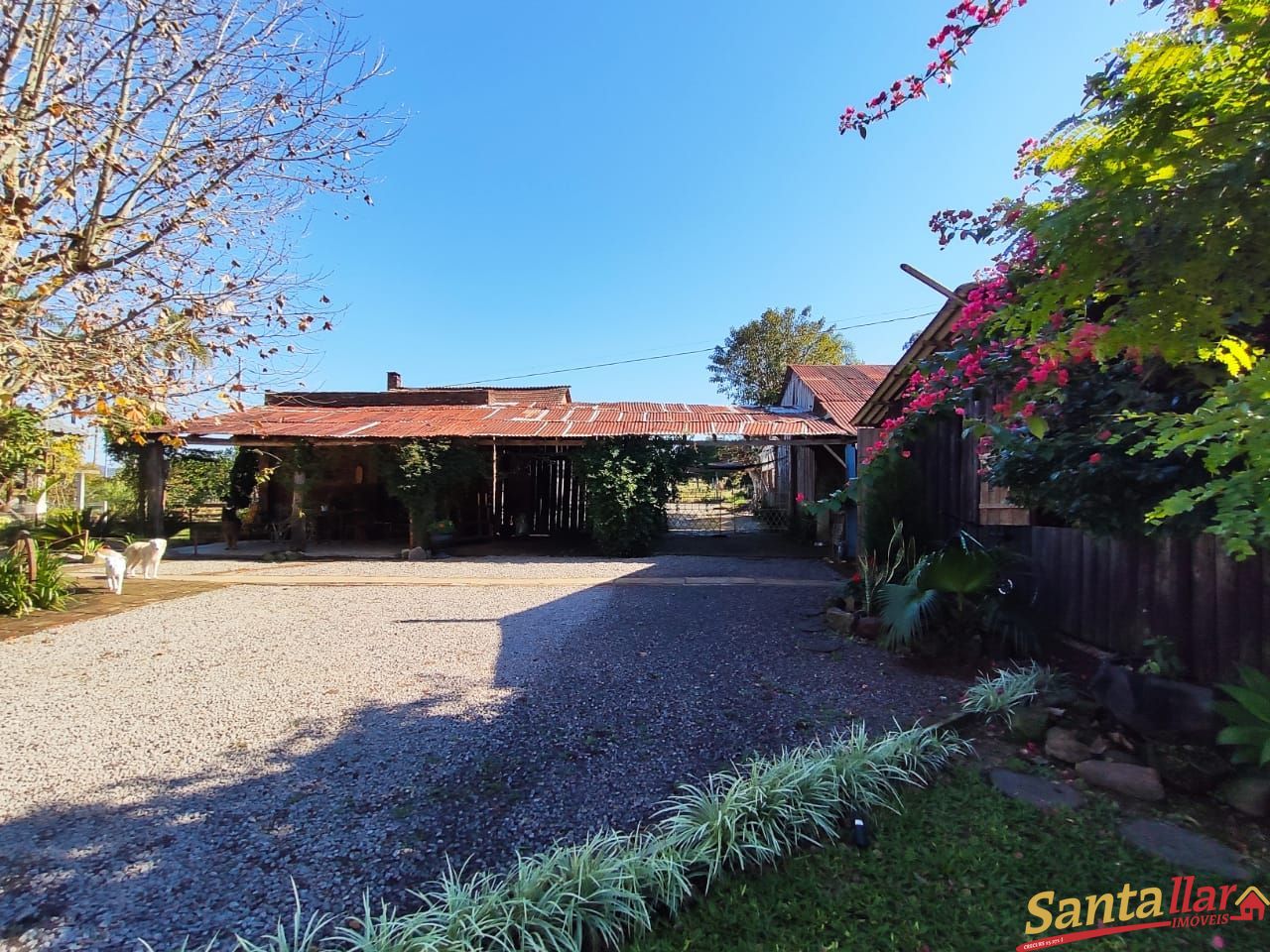 Fazenda à venda com 3 quartos, 29100m² - Foto 32