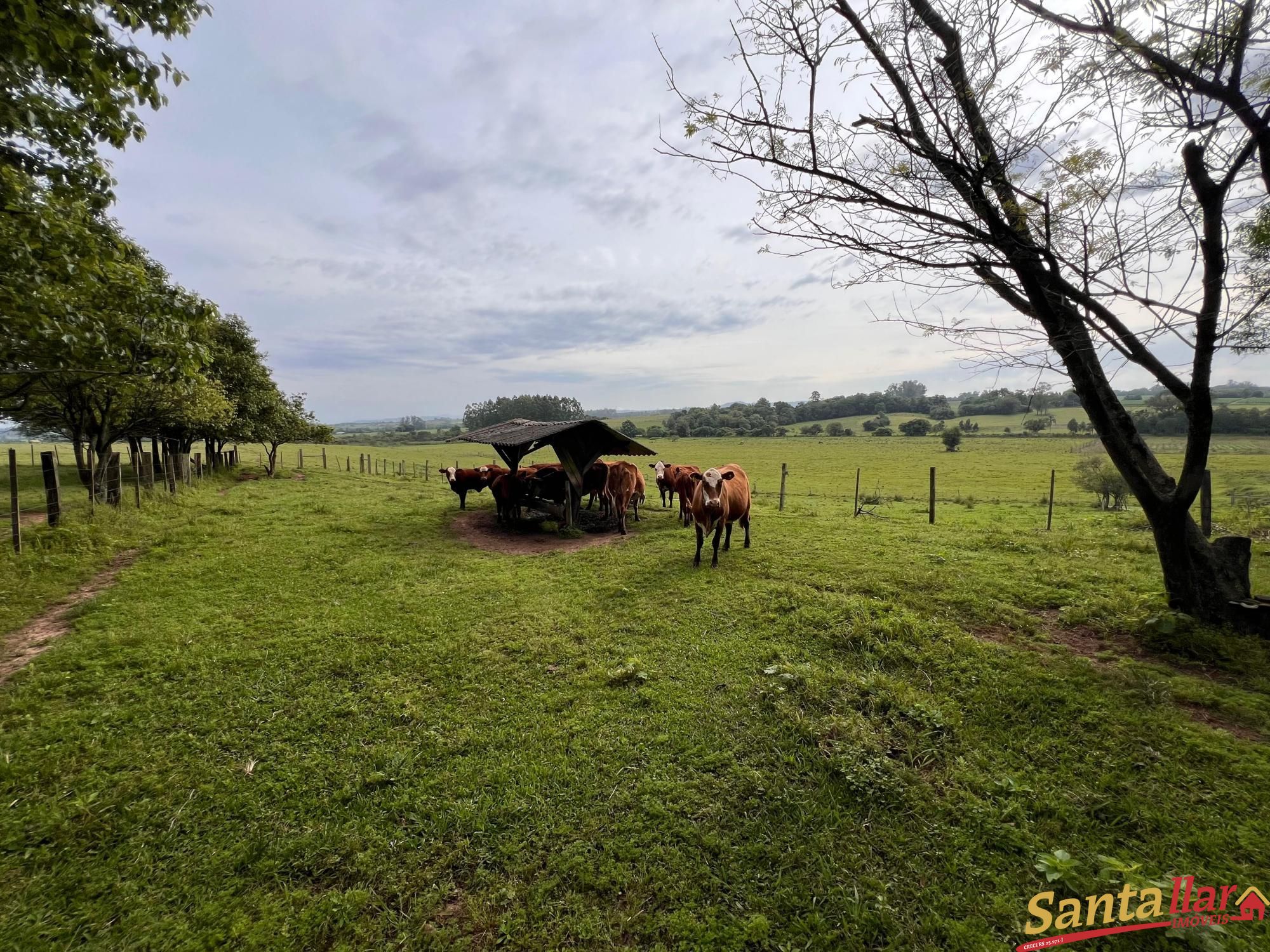 Fazenda à venda com 3 quartos, 120m² - Foto 17