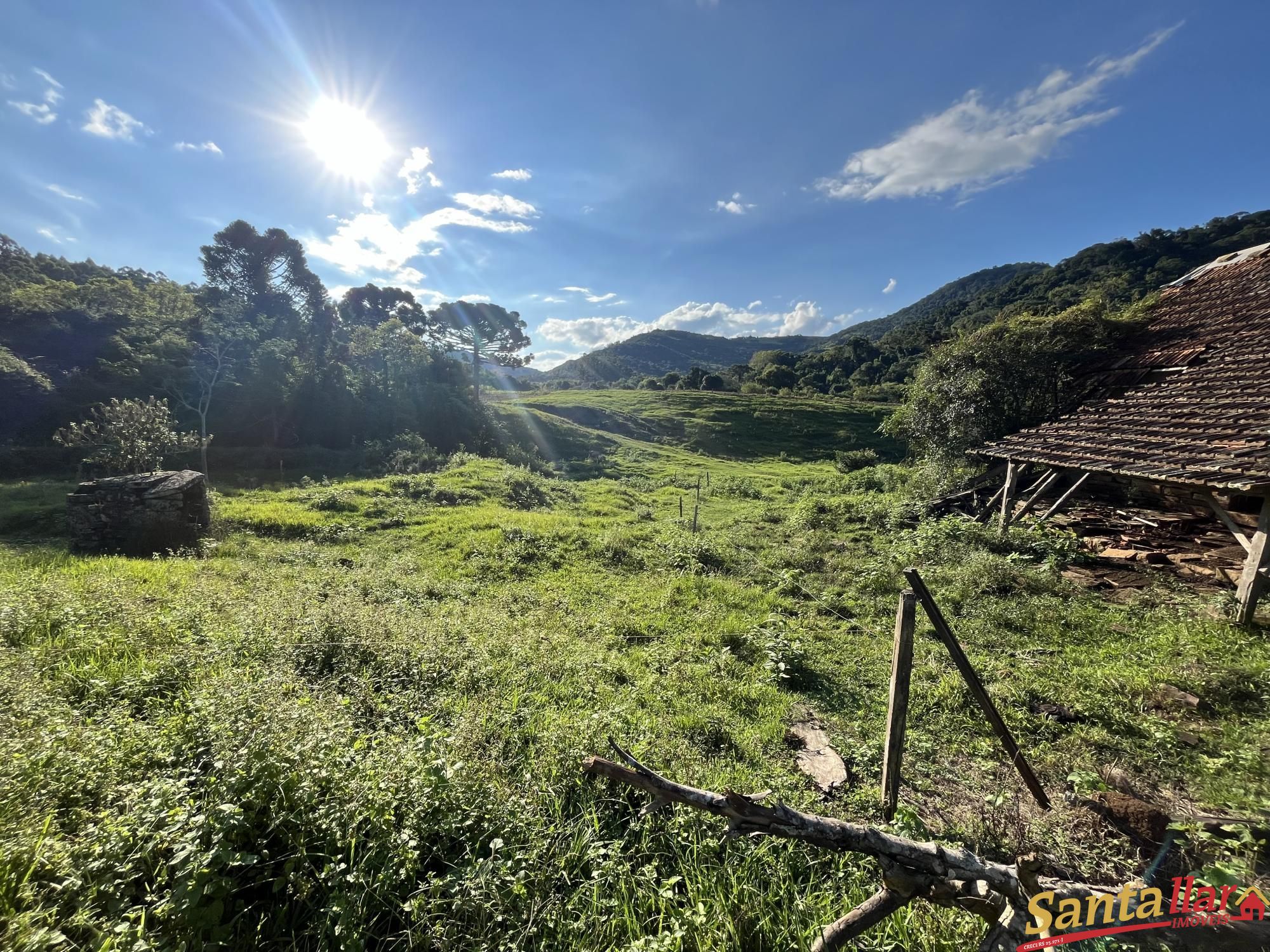 Fazenda à venda com 2 quartos, 96000m² - Foto 13