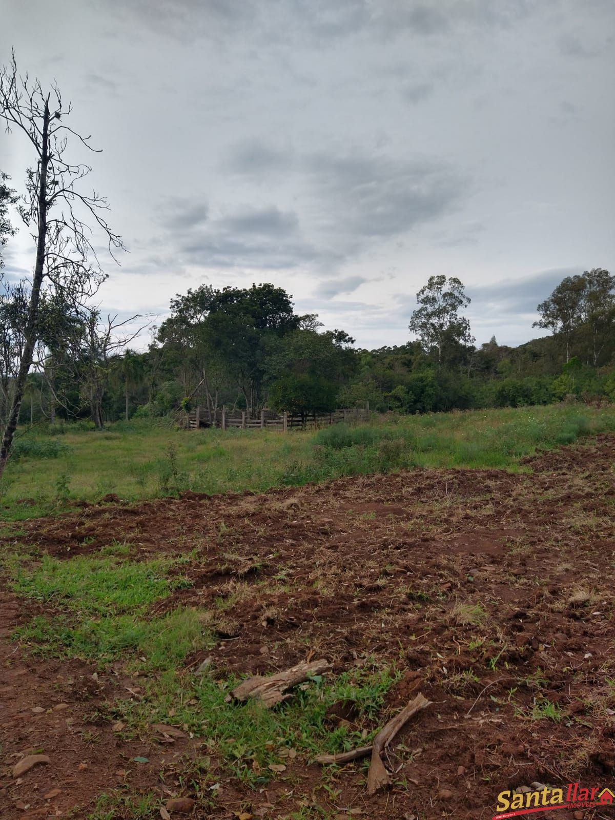 Fazenda, 15 hectares - Foto 12