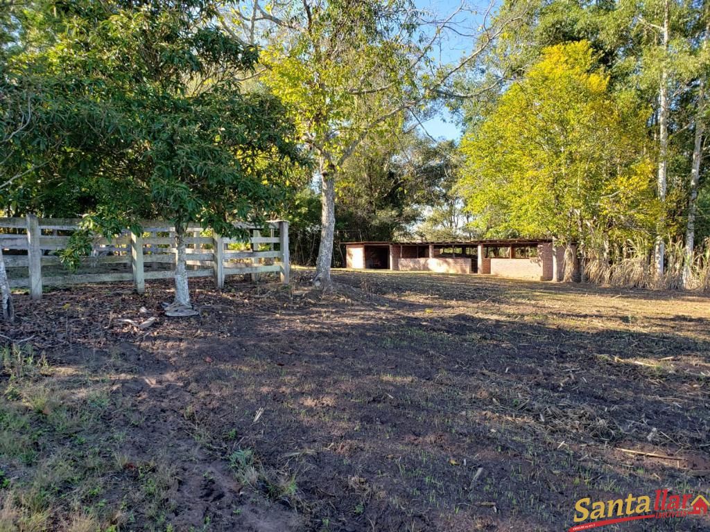 Fazenda à venda com 3 quartos, 130m² - Foto 13