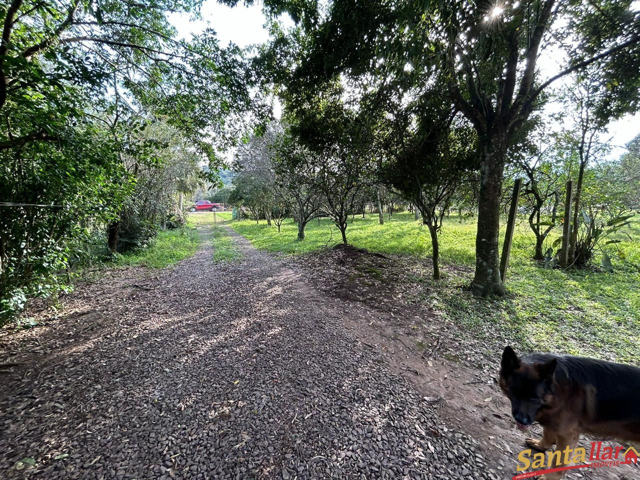 Fazenda à venda com 1 quarto, 60m² - Foto 5