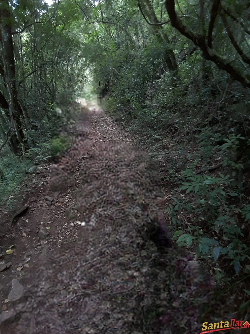 Terreno comercial  venda  no Interior - Sinimbu, RS. Imveis