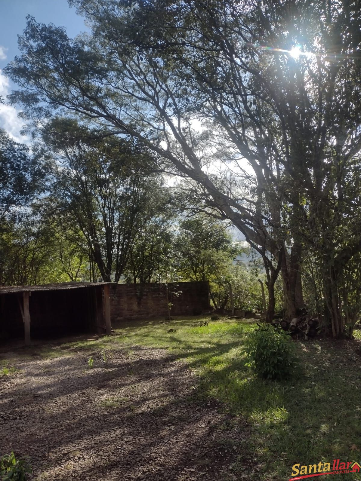 Fazenda à venda com 3 quartos, 10000m² - Foto 12