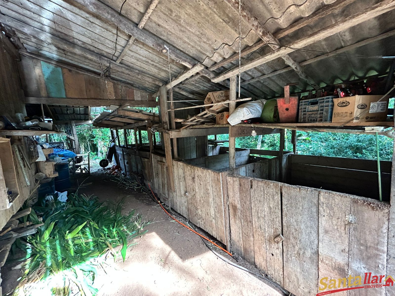 Chácara, 1 quarto, 6000 m² - Foto 14