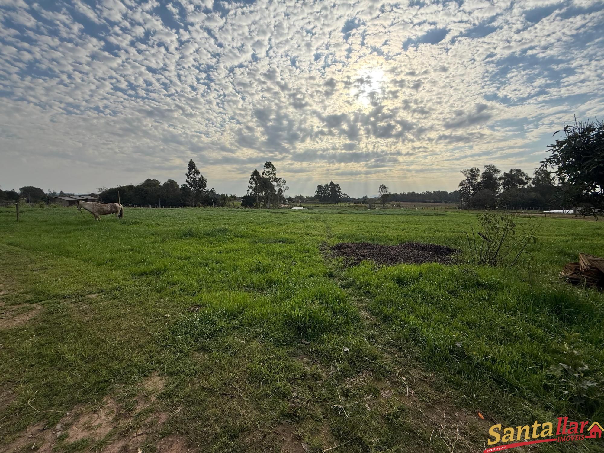 Sítio, 2 quartos, 3 hectares - Foto 8