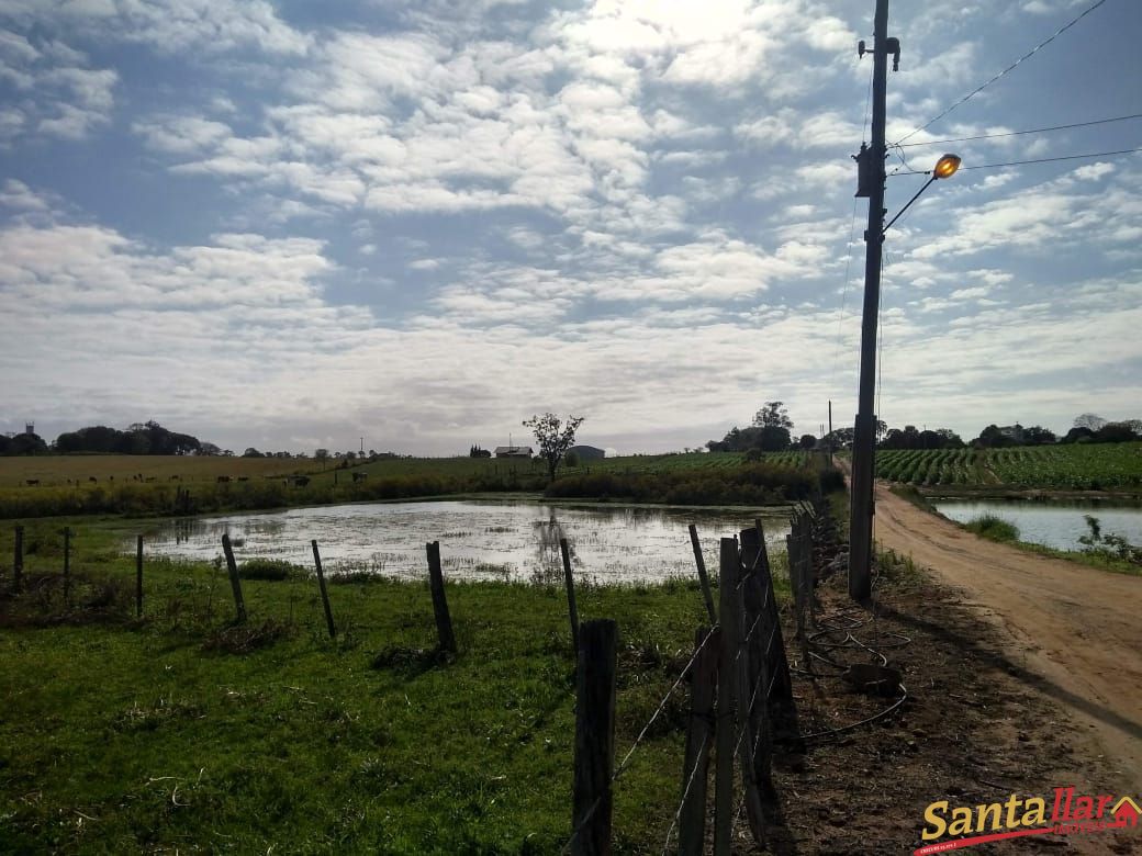 Fazenda à venda com 3 quartos, 833330000m² - Foto 10