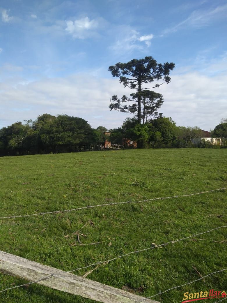 Fazenda à venda com 3 quartos, 833330000m² - Foto 7