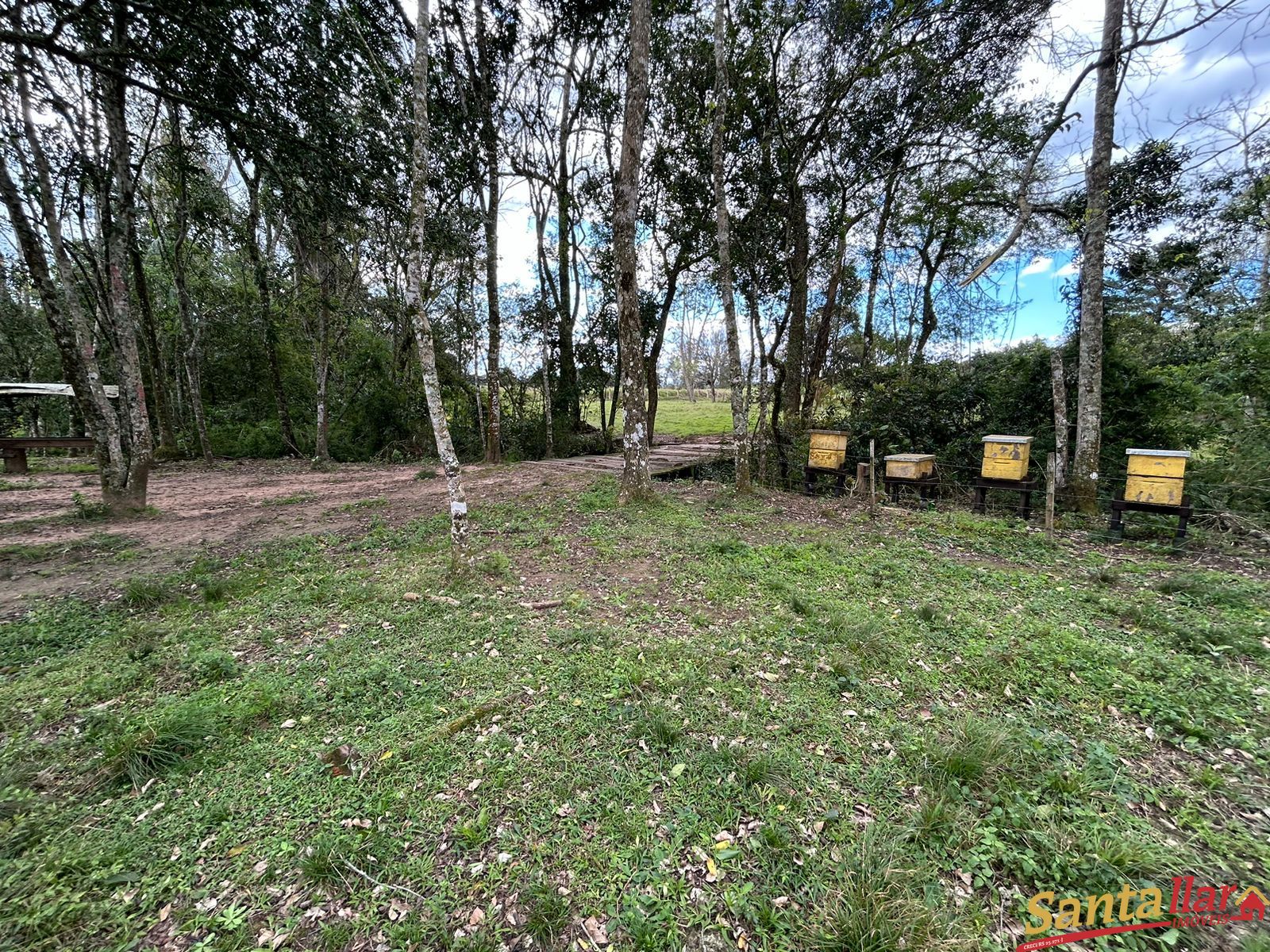 Fazenda à venda, 4m² - Foto 13