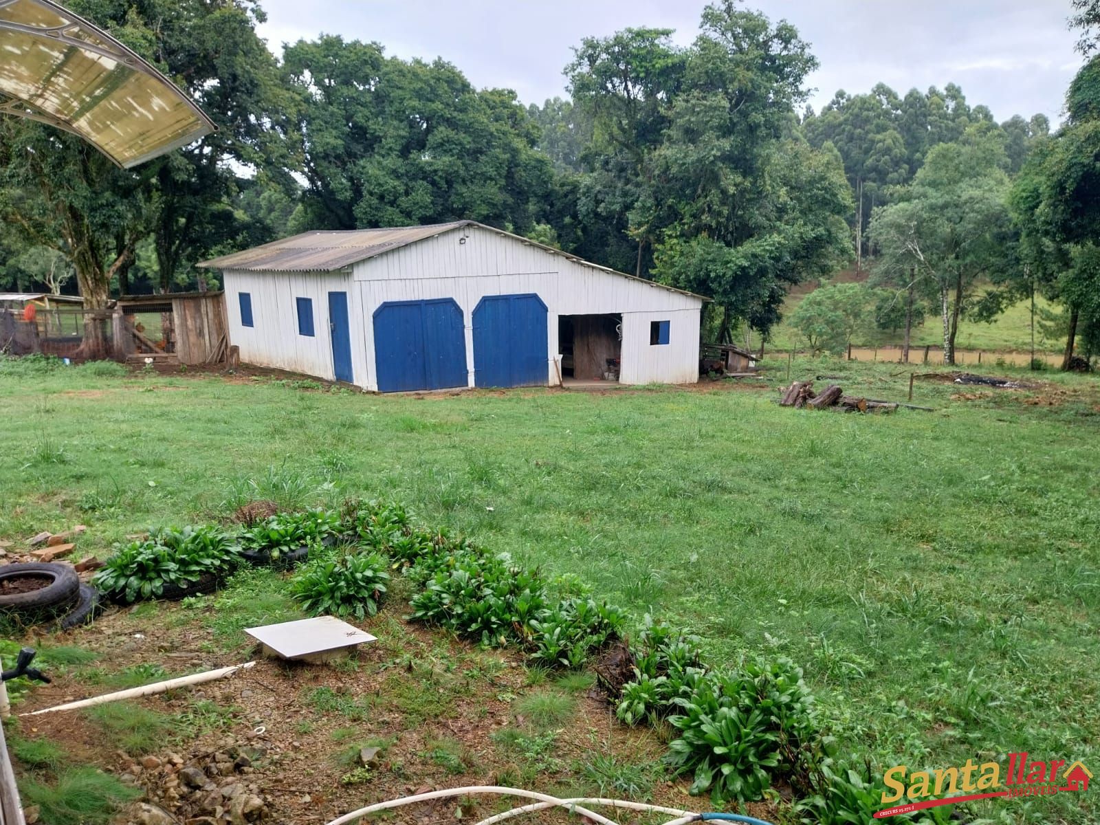 Sítio, 12 quartos, 2 hectares - Foto 13
