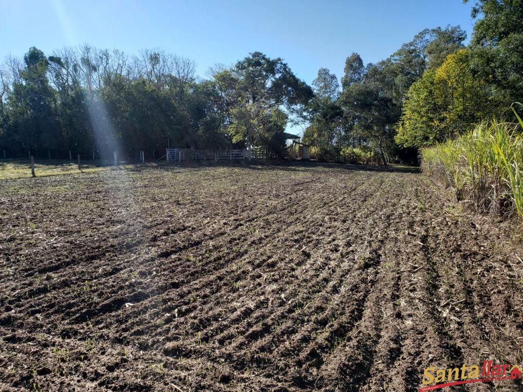 Fazenda à venda com 3 quartos, 130m² - Foto 16