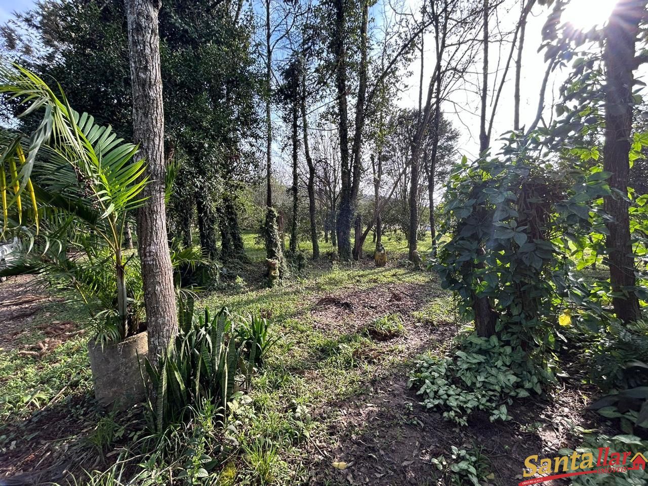 Fazenda à venda com 1 quarto, 60m² - Foto 2