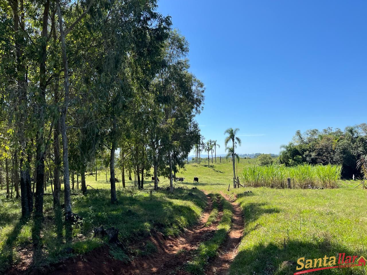 Fazenda à venda com 4 quartos, 120m² - Foto 19