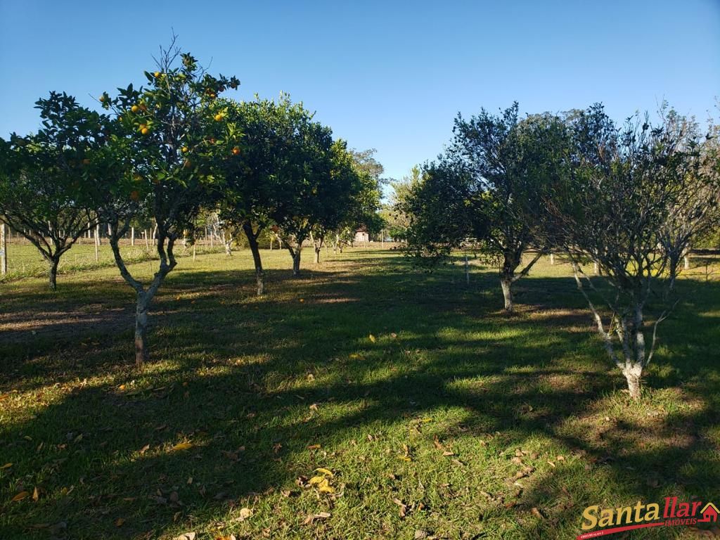 Fazenda à venda com 3 quartos, 130m² - Foto 9