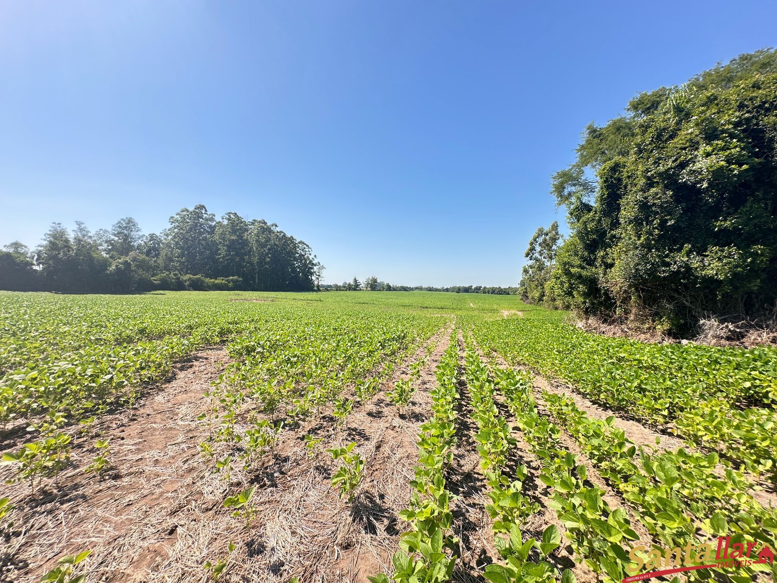 Sítio, 3 quartos, 22 hectares - Foto 15