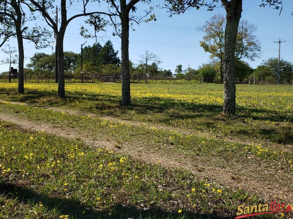 Fazenda à venda com 3 quartos, 130m² - Foto 8