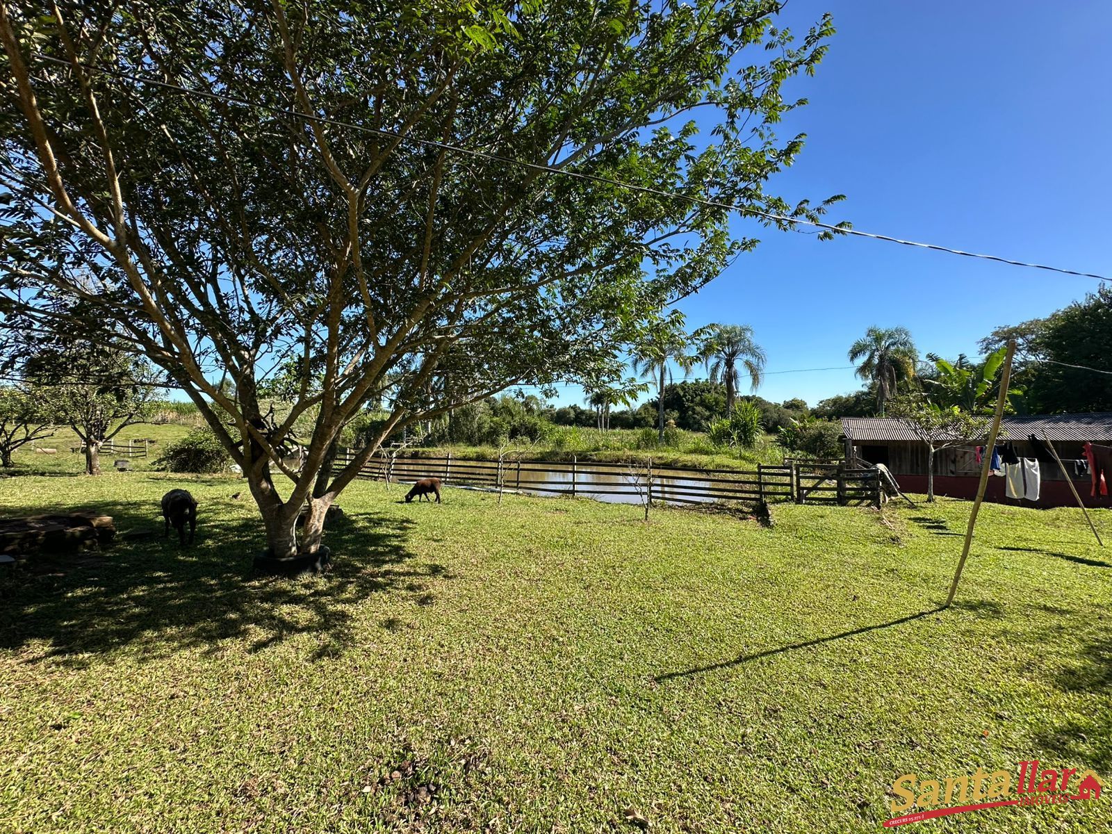 Sítio, 2 quartos, 2 hectares - Foto 7