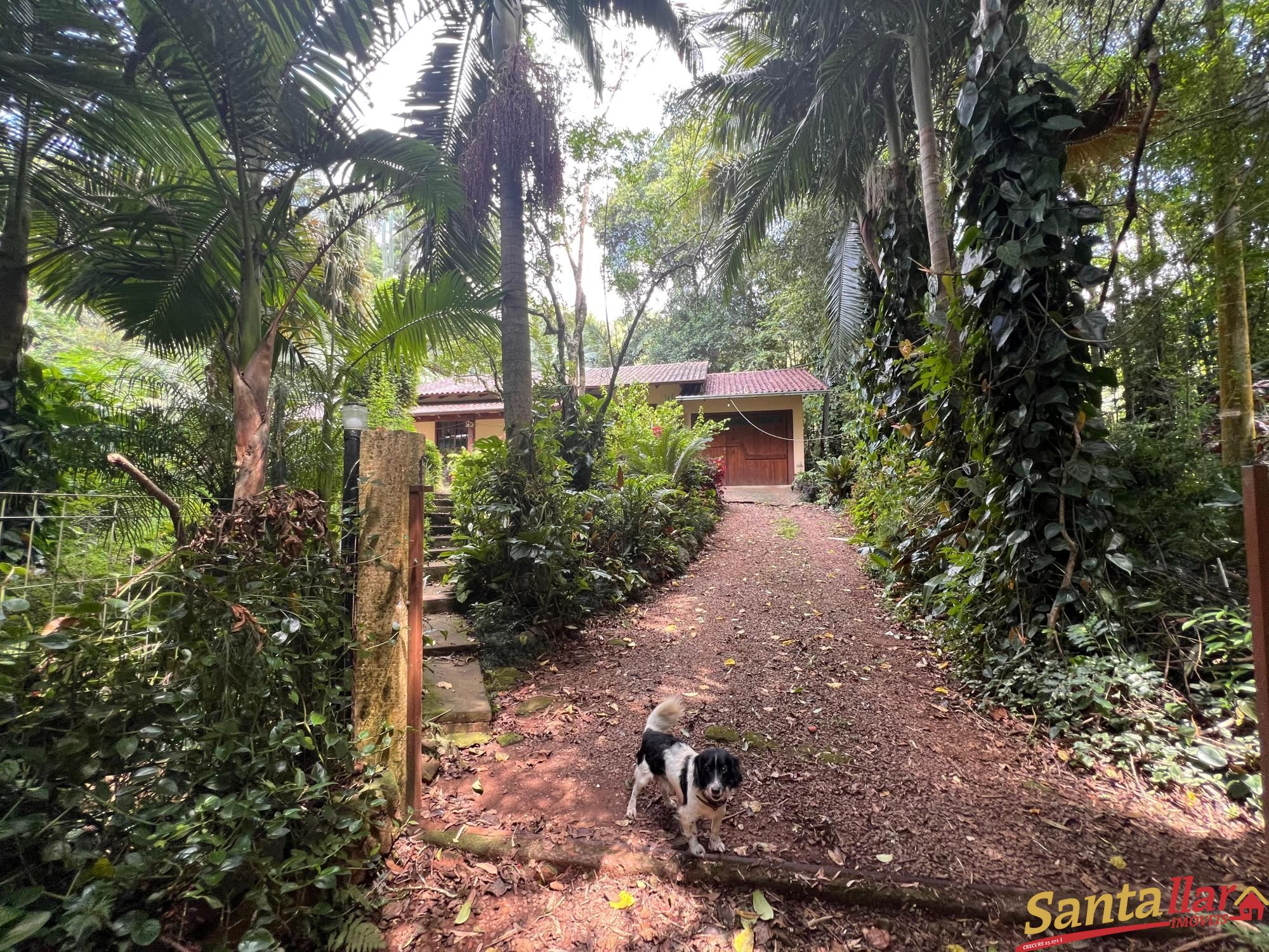 Fazenda à venda com 3 quartos, 130m² - Foto 1