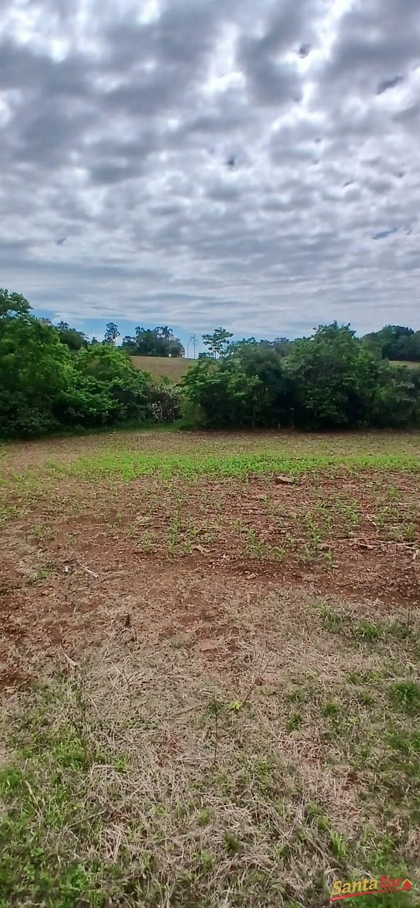Sítio, 7 hectares - Foto 12