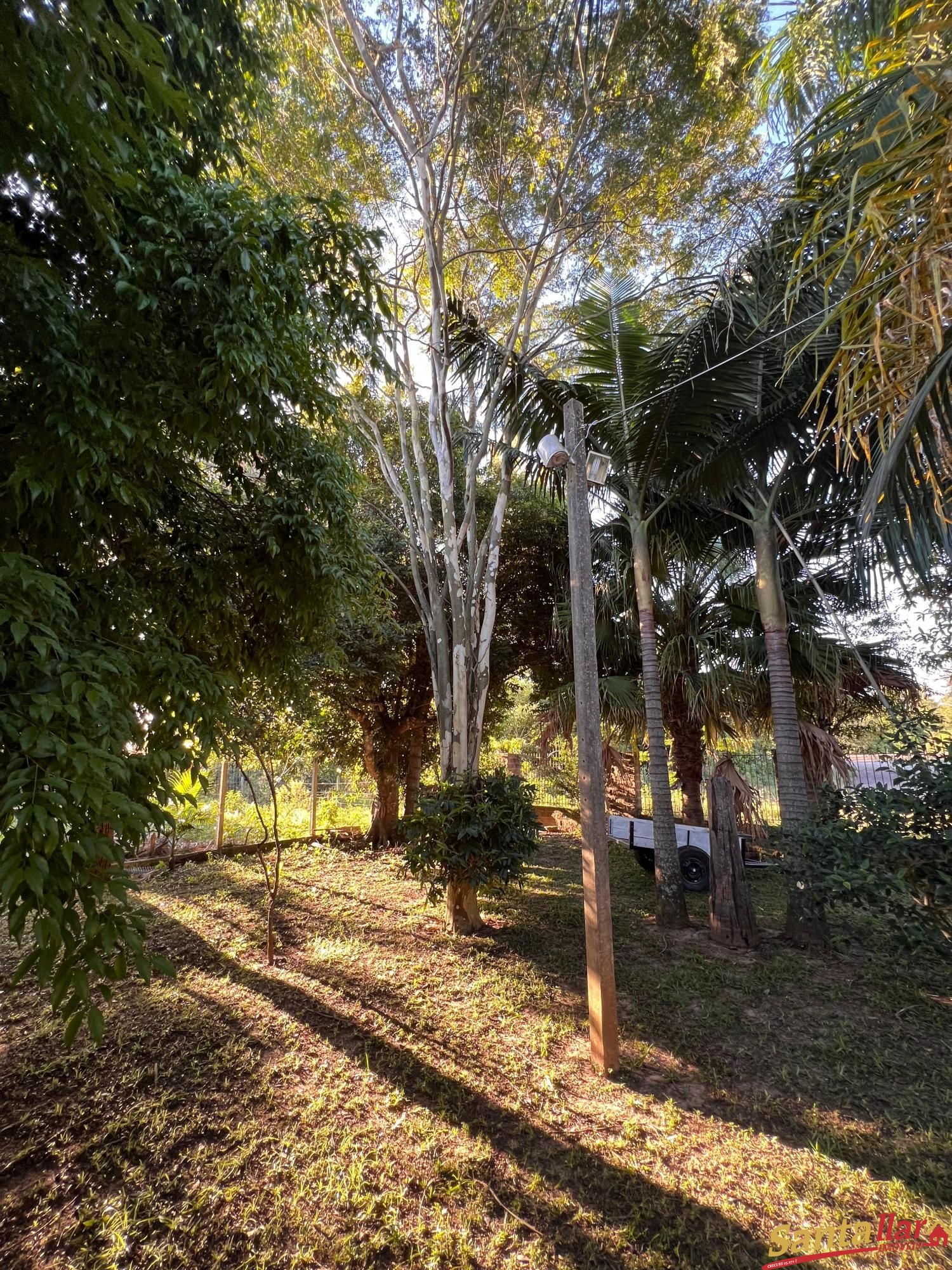 Fazenda à venda com 3 quartos, 210m² - Foto 5