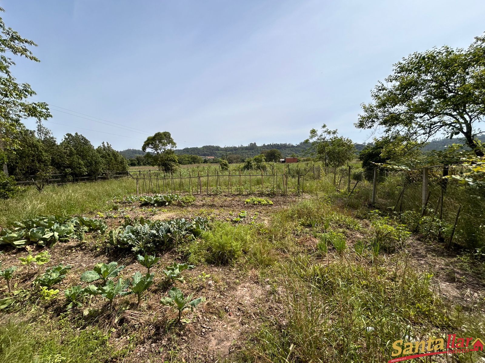 Fazenda à venda com 2 quartos, 79m² - Foto 25