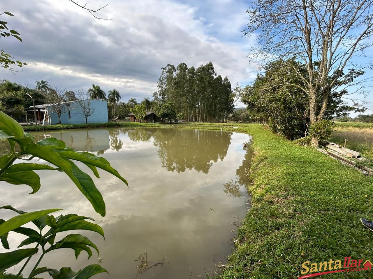 Fazenda à venda com 1 quarto, 60m² - Foto 1