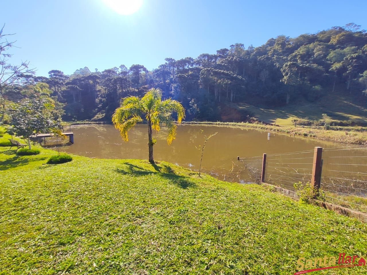 Fazenda à venda com 3 quartos, 29100m² - Foto 24