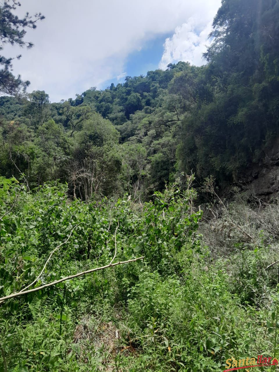 Fazenda à venda, 110000m² - Foto 8