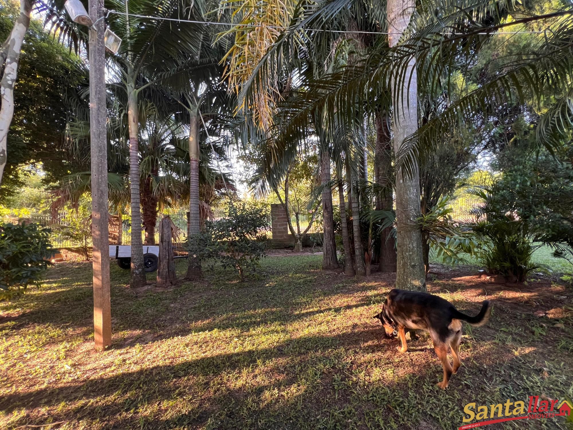 Fazenda à venda com 3 quartos, 210m² - Foto 12