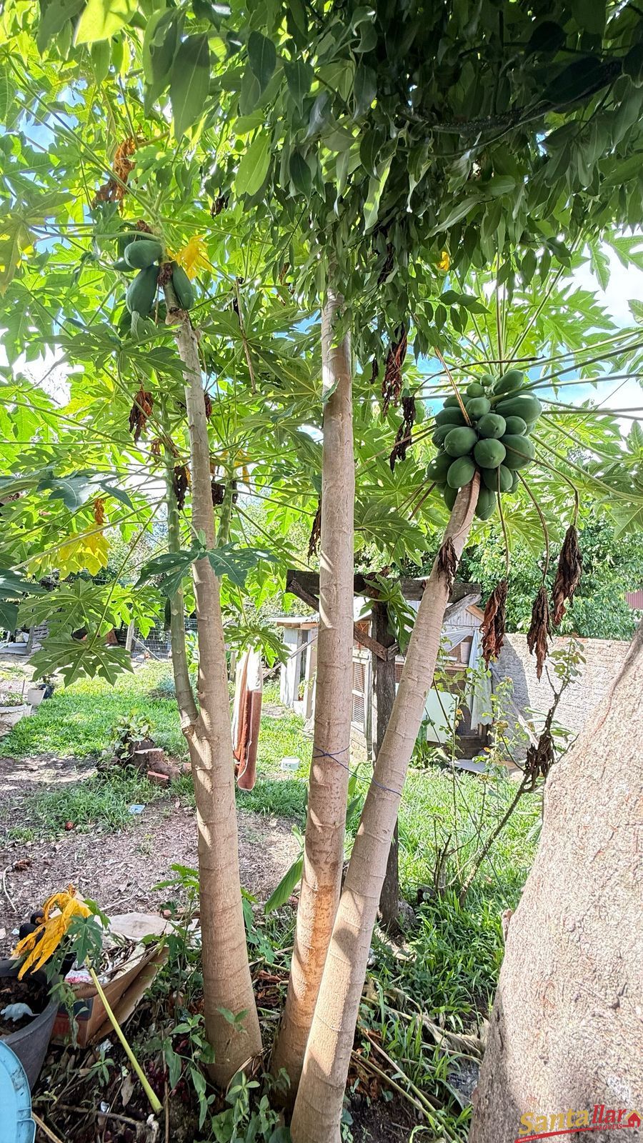 Casa, 4 quartos, 310 m² - Foto 24