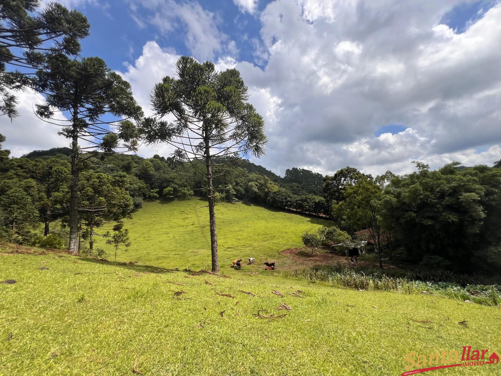 Fazenda à venda com 3 quartos, 130m² - Foto 9