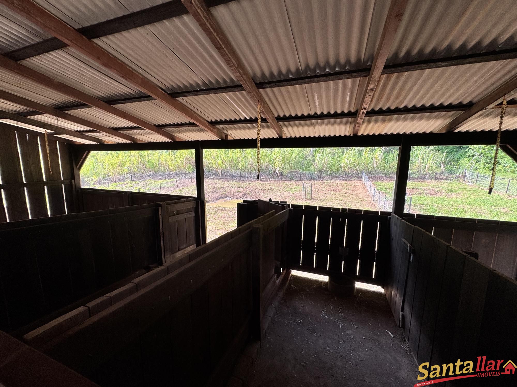 Sítio, 3 quartos, 4 hectares - Foto 25