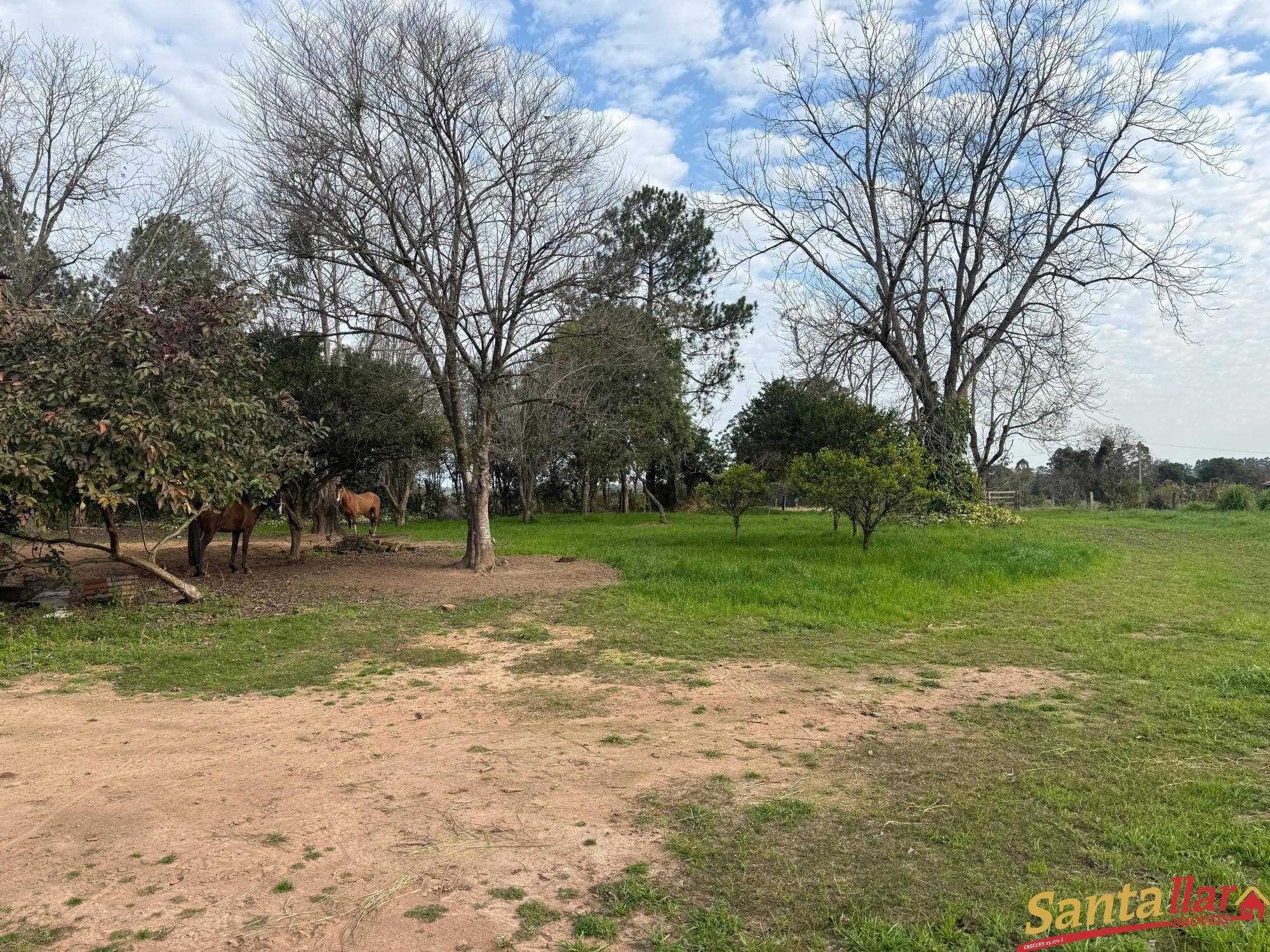 Sítio, 2 quartos, 3 hectares - Foto 12