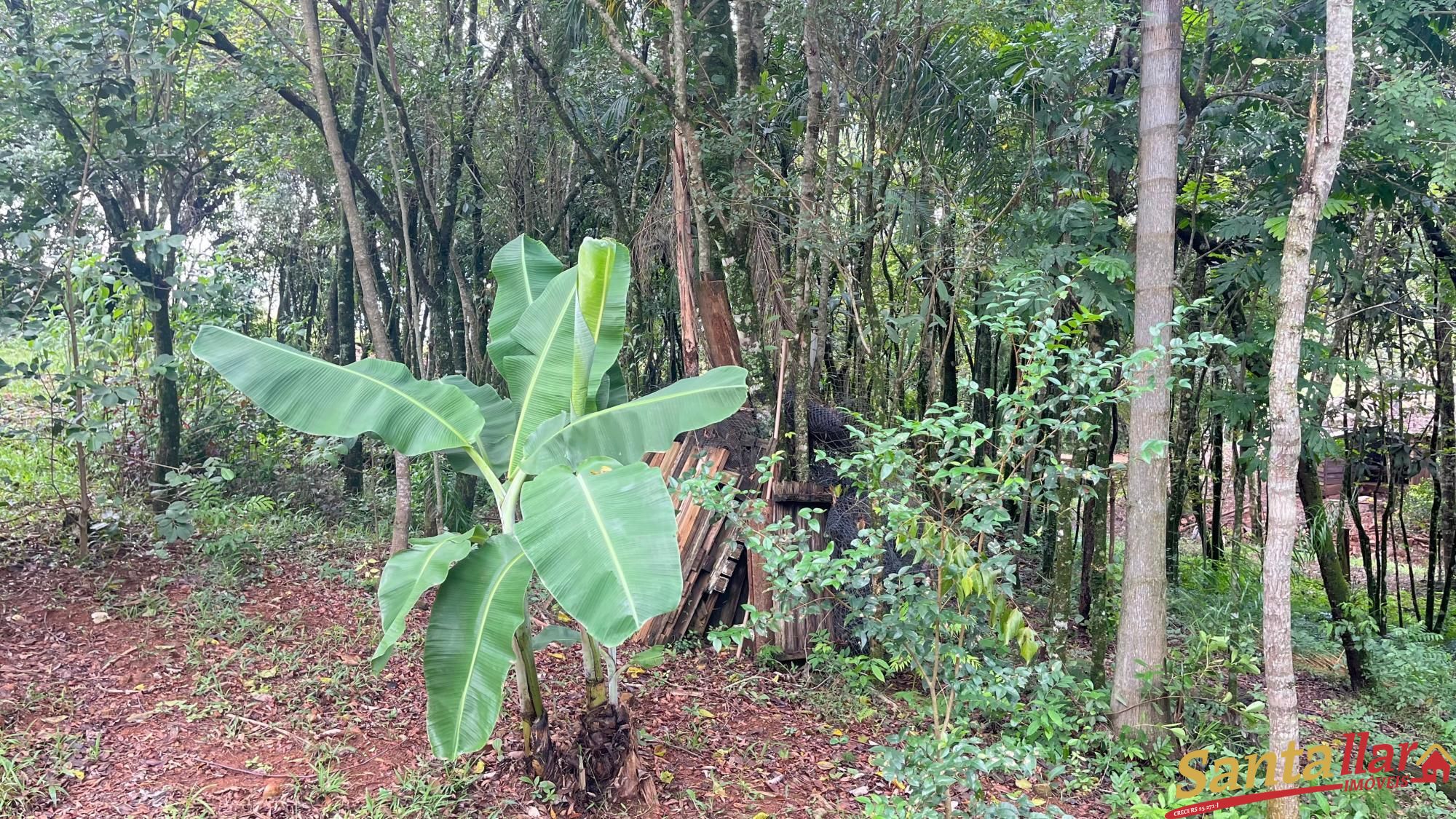 Chácara à venda com 2 quartos, 49m² - Foto 17