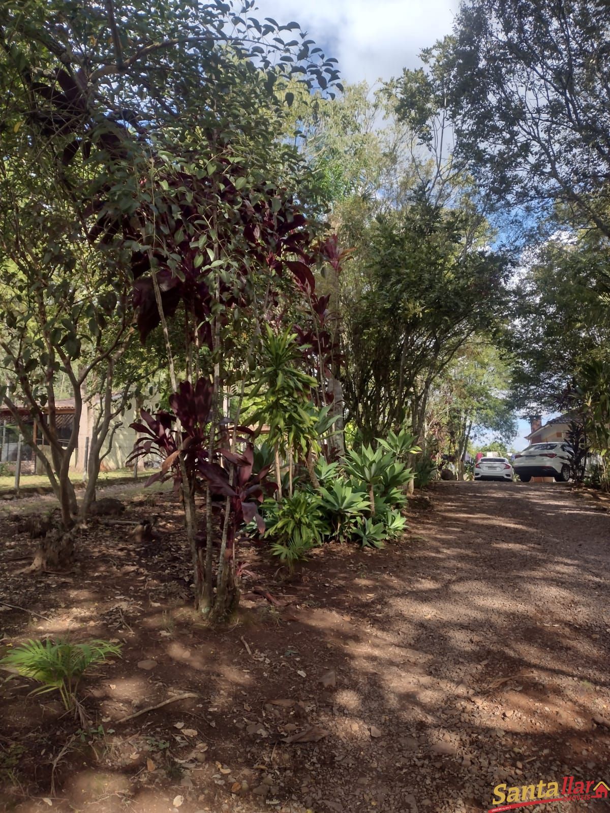 Fazenda à venda com 3 quartos, 10000m² - Foto 10