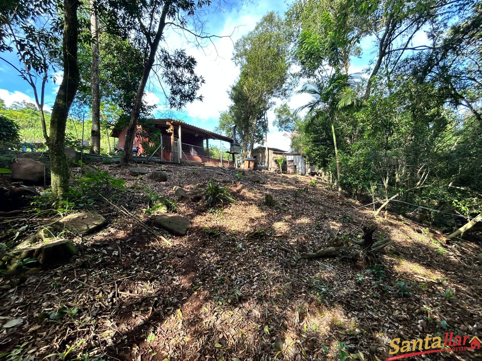 Chácara, 1 quarto, 6000 m² - Foto 16