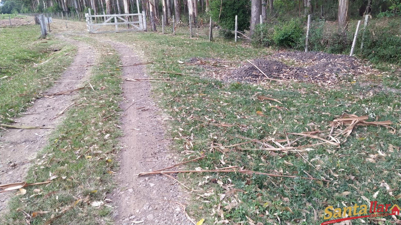 Fazenda à venda com 3 quartos, 200m² - Foto 32