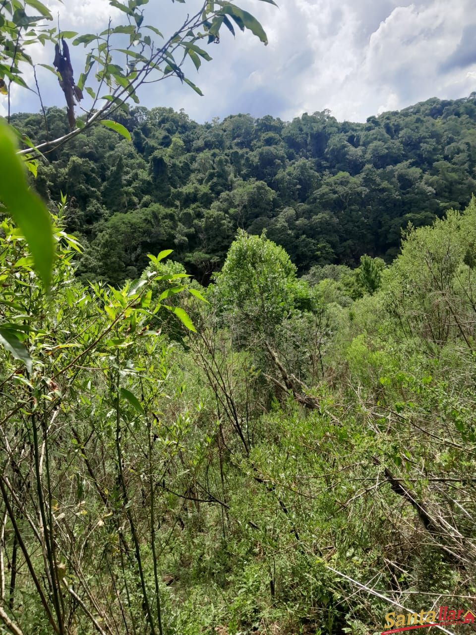 Fazenda à venda, 110000m² - Foto 7