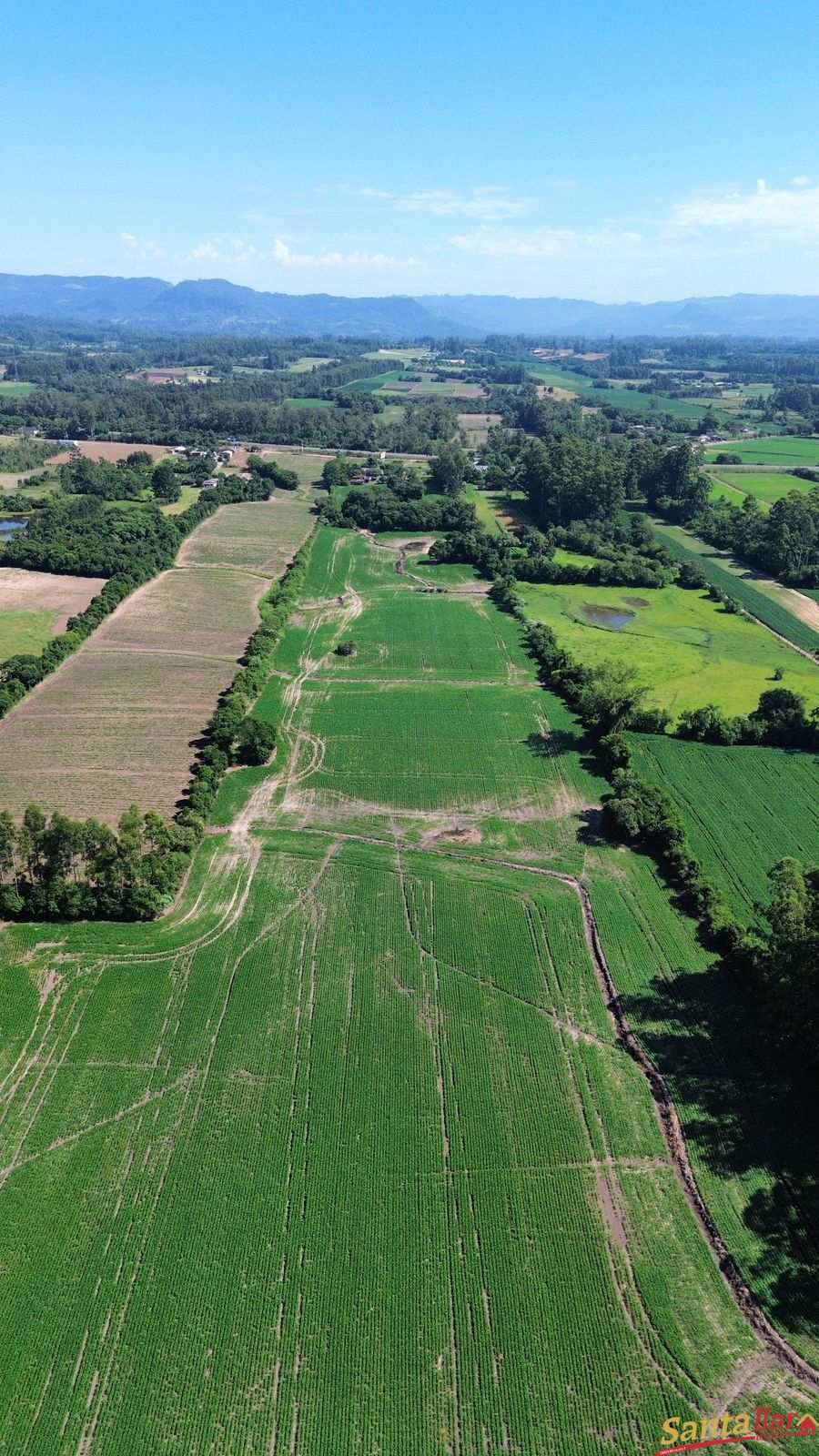 Sítio, 3 quartos, 22 hectares - Foto 16