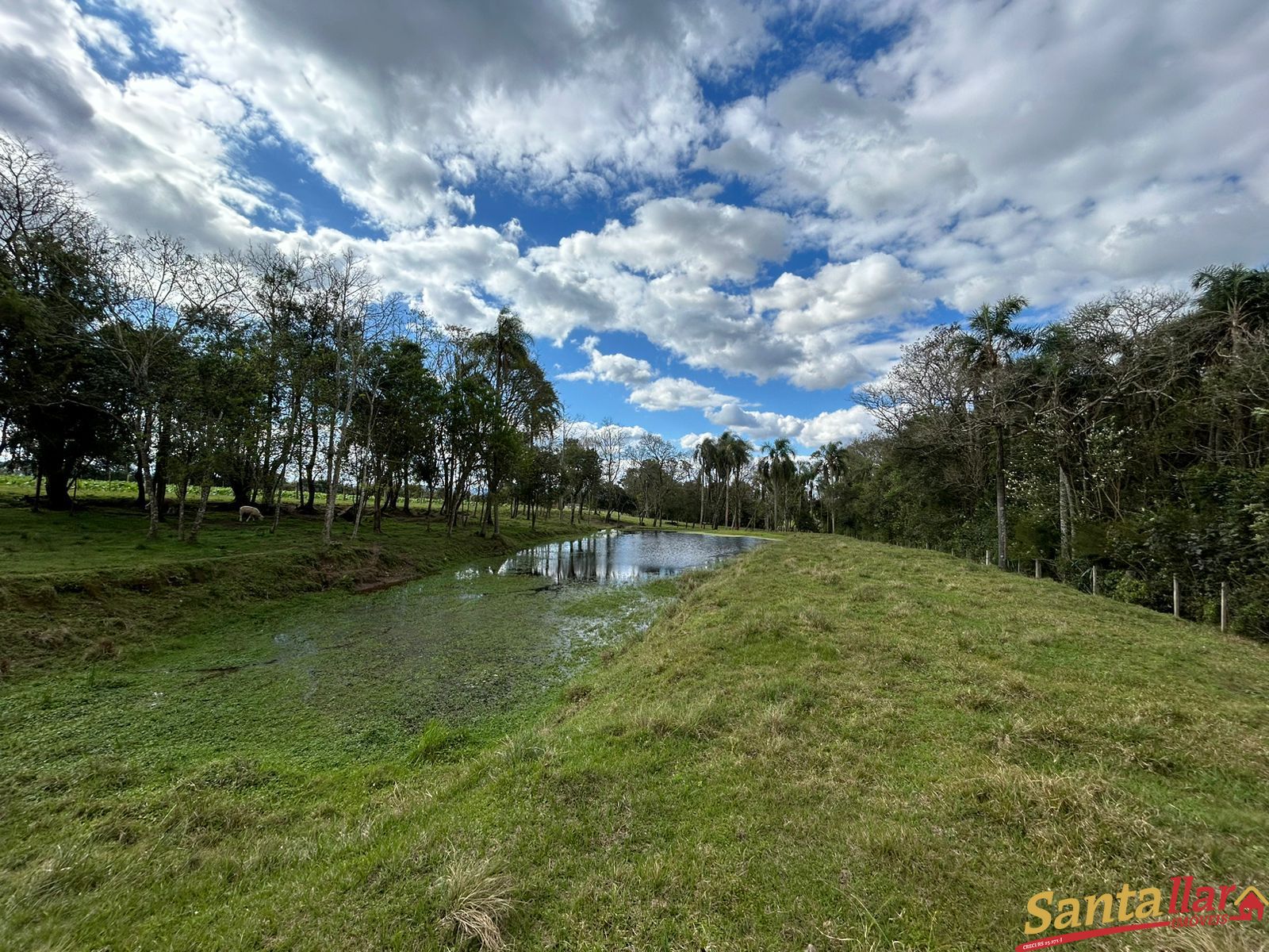 Fazenda à venda, 4m² - Foto 22