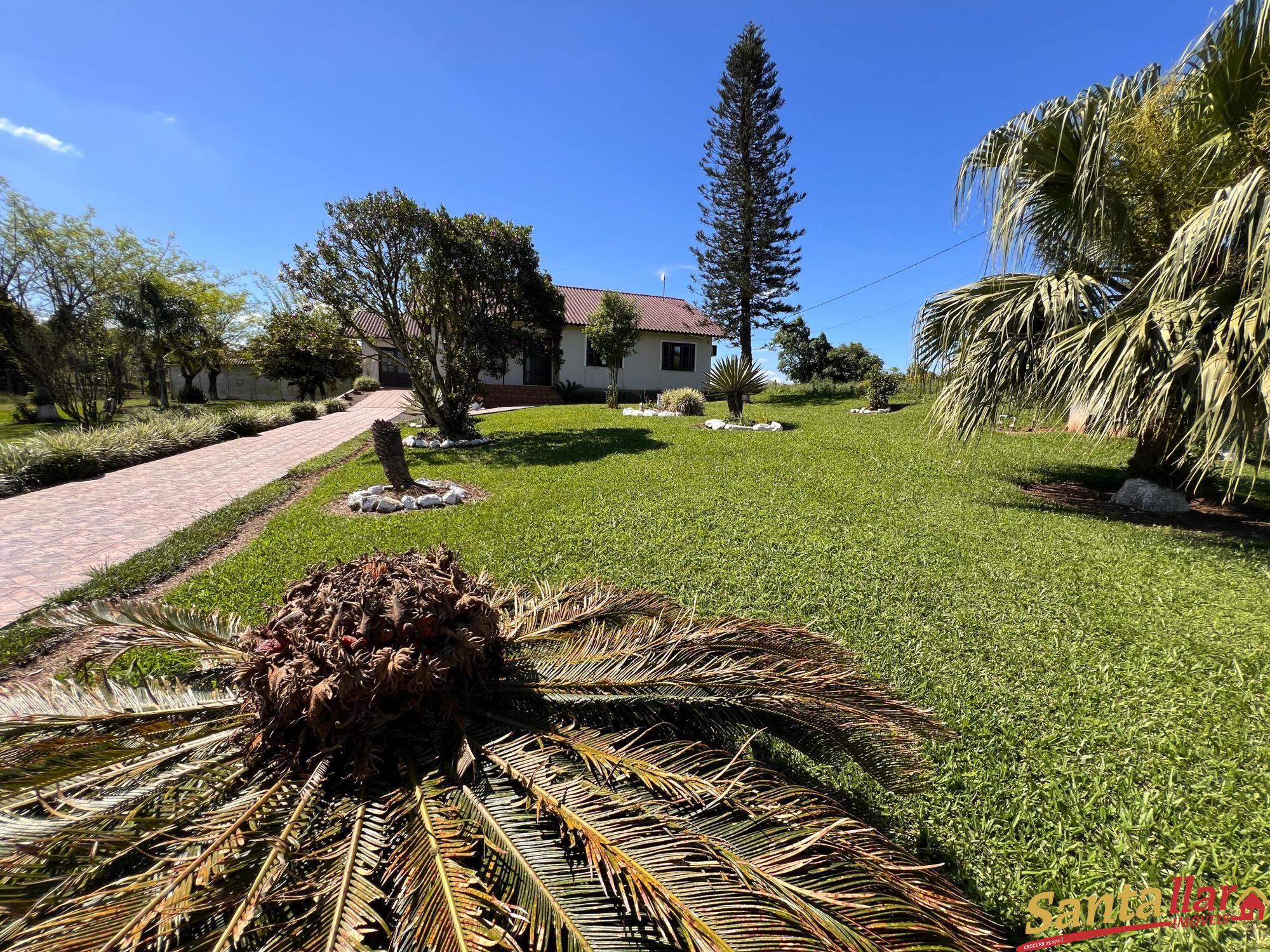 Fazenda à venda com 3 quartos, 238m² - Foto 10